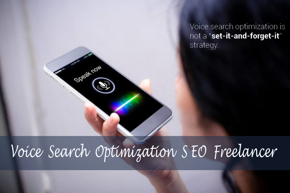 A Voice Friendly Class SEO Freelancer for Voice Search Optimization In Google